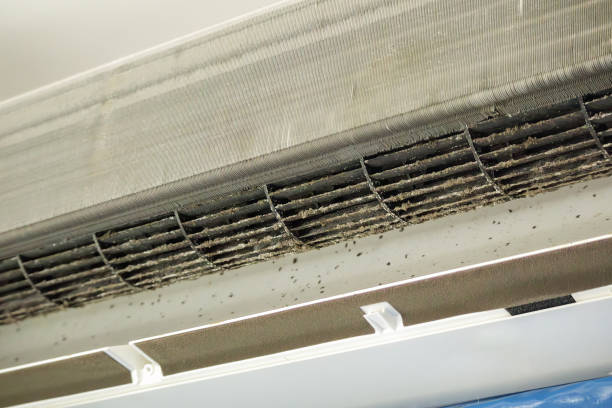 Best HVAC Duct Inspection Services  in Scenic Oaks, TX